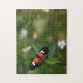 Butterfly Butterflies Natuur Fotografie Tuin Legpuzzel (Verticaal)