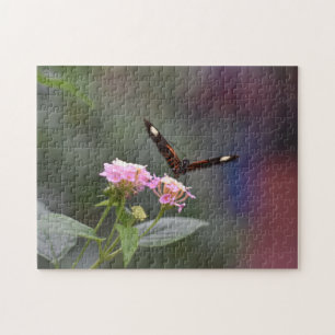Butterfly Butterflies Natuur Fotografie Tuin Legpuzzel