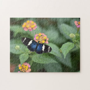 Butterfly Butterflies Natuur Fotografie Tuin Legpuzzel