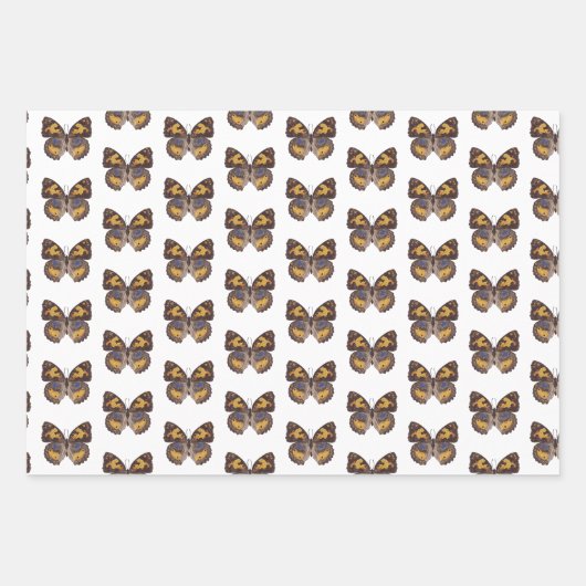 Butterfly cadeaupapier (Voorkant 3)