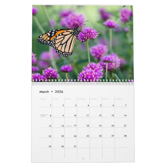 Butterfly Calendar by Jody Wiele Photography Kalender (Mar 2026)
