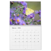 Butterfly Calendar by Jody Wiele Photography Kalender (Feb 2026)
