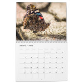 Butterfly Calendar by Jody Wiele Photography Kalender (Jan 2026)