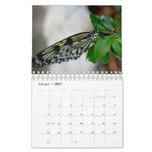 Butterfly Calendar Kalender (Jan 2027)