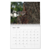 Butterfly Calendar Kalender (Mar 2027)