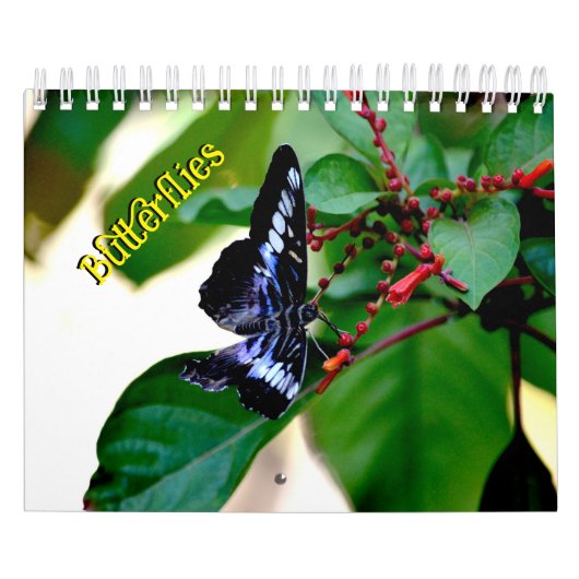 Butterfly Calendar Kalender (Hoes)