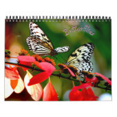 Butterfly Calendar Kalender (Hoes)