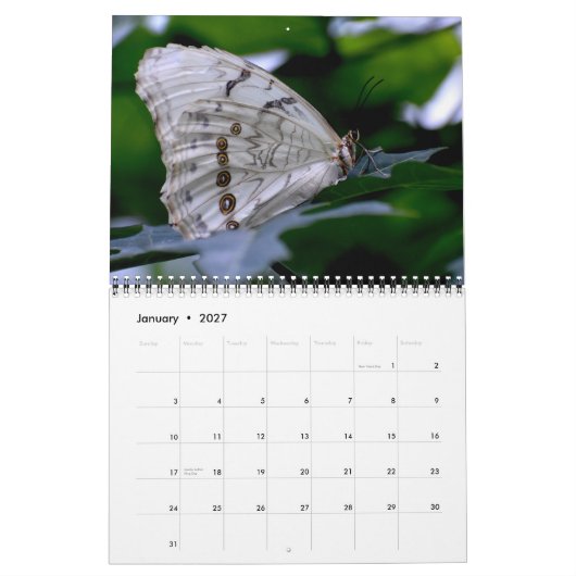 Butterfly Calendar Kalender (Jan 2027)