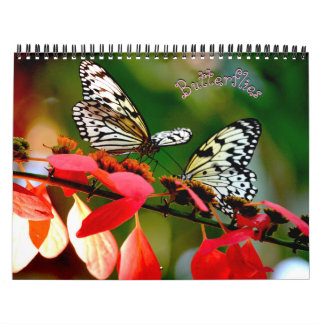 Butterfly Calendar Kalender