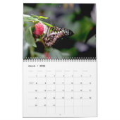 Butterfly Calendar Kalender (Mar 2026)