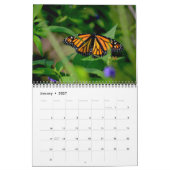 Butterfly Calendar Kalender (Jan 2027)