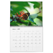 Butterfly Calendar Kalender (Mar 2027)