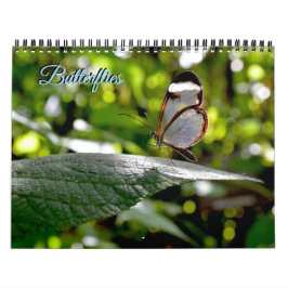 Butterfly Calendar Kalender