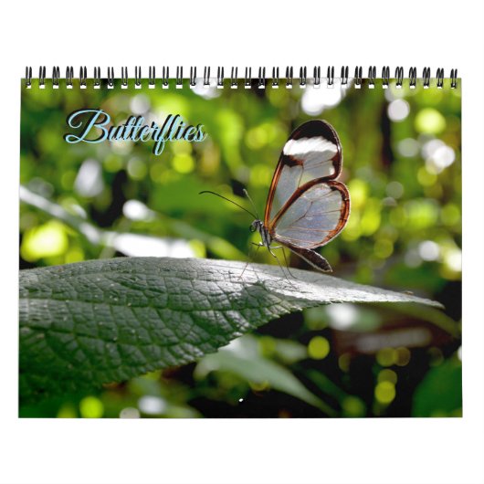 Butterfly Calendar Kalender (Hoes)