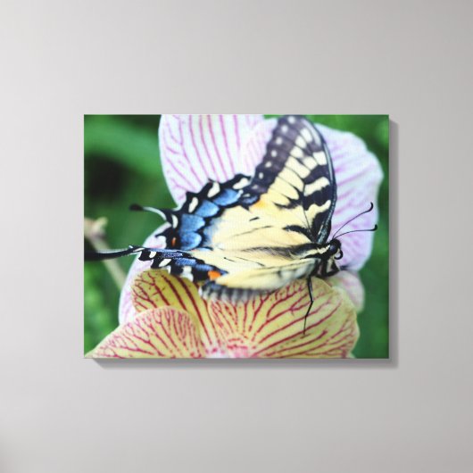 Butterfly Canvas Afdruk (Voorkant)