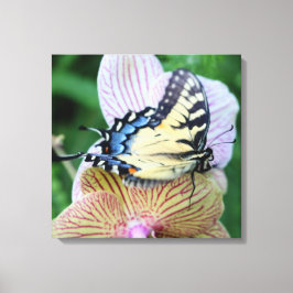 Butterfly Canvas Afdruk
