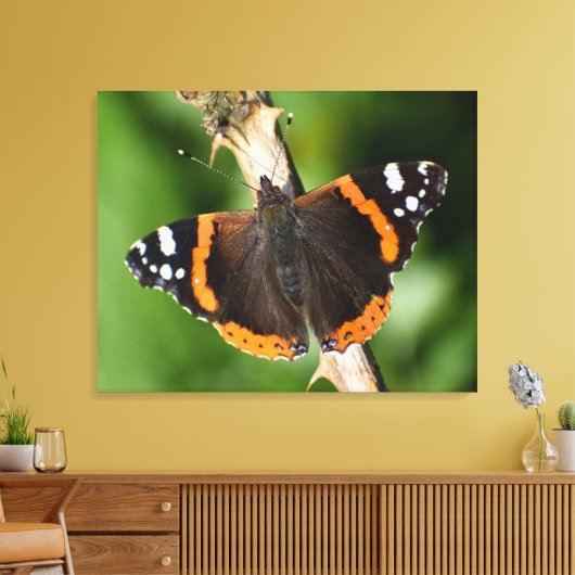 Butterfly Canvas Afdruk (Insitu (Woonkamer))