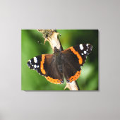 Butterfly Canvas Afdruk (Voorkant)