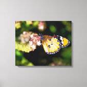 Butterfly Canvas Afdruk (Voorkant)