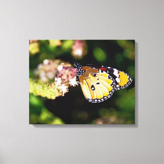 Butterfly Canvas Afdruk (Voorkant)