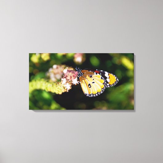 Butterfly Canvas Afdruk (Voorkant)