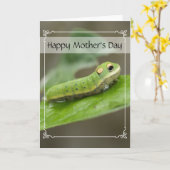 Butterfly Caterpijler Larva Kaart (Gele Bloem)