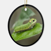 Butterfly Caterpijler Larva Keramisch Ornament (Links)