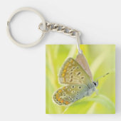 Butterfly Close-Up Sleutelhanger (voorkant)