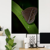 Butterfly Closeup Photo Poster (Thuiskantoor)