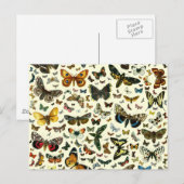 Butterfly Collage Briefkaart (Voorkant / Achterkant)