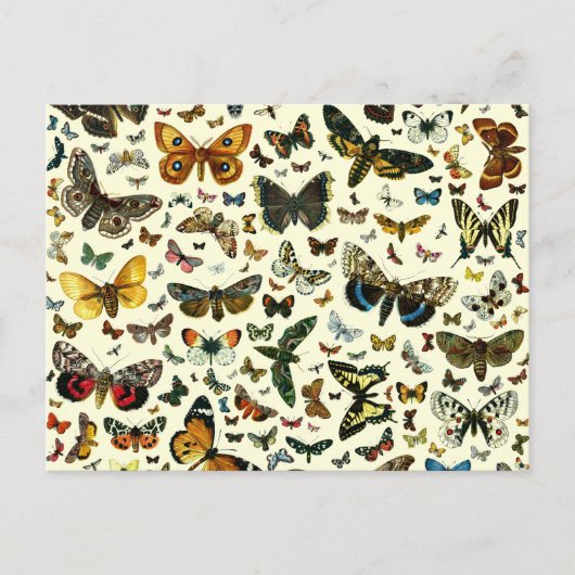 Butterfly Collage Briefkaart (Voorkant)