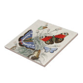 Butterfly Collectie Antiek Kleurrijke Vlinders Tegeltje (Zijkant)