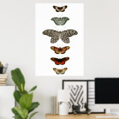 Butterfly Compilatie Poster (Thuiskantoor)