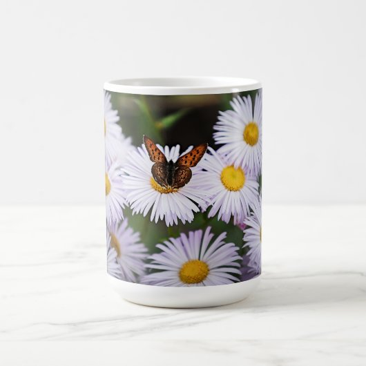 Butterfly Daisy Mok (Center)