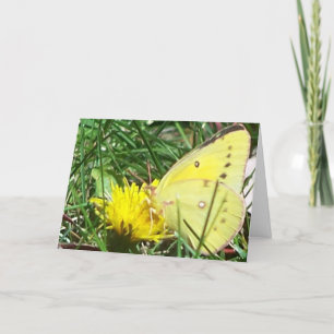 Butterfly - Denken aan jou Kaart