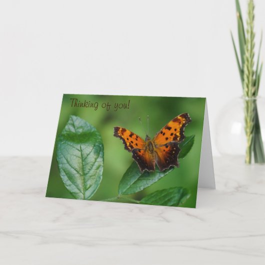 Butterfly denkt aan jou! kaart (Voorkant)