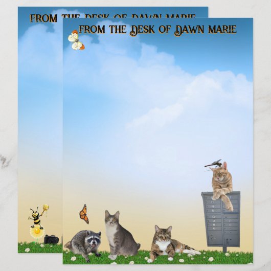 Butterfly, Dragonfly, Raccoon, and Summer Fun (Voorkant / Achterkant)