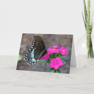 Butterfly Dreaming Kaart