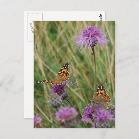 Butterfly Dreams Briefkaart (Voorkant / Achterkant)