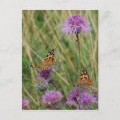 Butterfly Dreams Briefkaart (Voorkant)