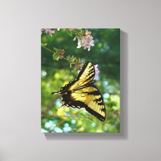 Butterfly Dreams Canvas Afdruk (Voorkant)