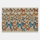 Butterfly Dreams: Elegante vlinder wikkelwarp Inpakpapier Vel (Voorkant 3)