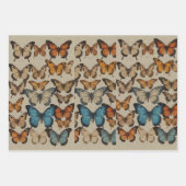 Butterfly Dreams: Elegante vlinder wikkelwarp Inpakpapier Vel (Voorkant 2)