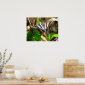 Butterfly Dreams Poster (Keuken)