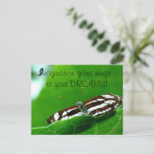 Butterfly Dreams-postkaart Briefkaart (Staand voorkant)