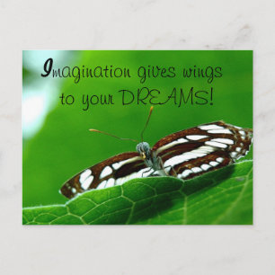 Butterfly Dreams-postkaart Briefkaart