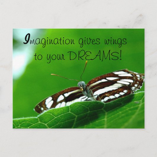 Butterfly Dreams-postkaart Briefkaart (Voorkant)