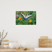 Butterfly - Eastern Tiger Swallowtail Poster (Keuken)