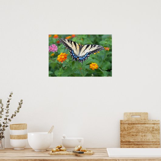 Butterfly - Eastern Tiger Swallowtail Poster (Keuken)