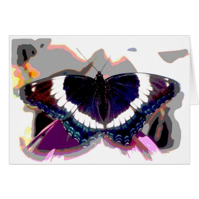 Butterfly-effect (Voorkant Horizontaal)